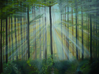 Wald im Sonnenschein Leinwand 80x100 cm