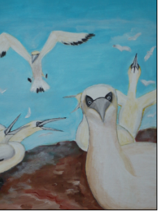 Albatros - Leinwand 50x70 cm