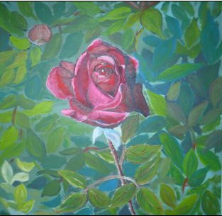 Rose - Acryl auf Leinwand, 80 x 80 cm