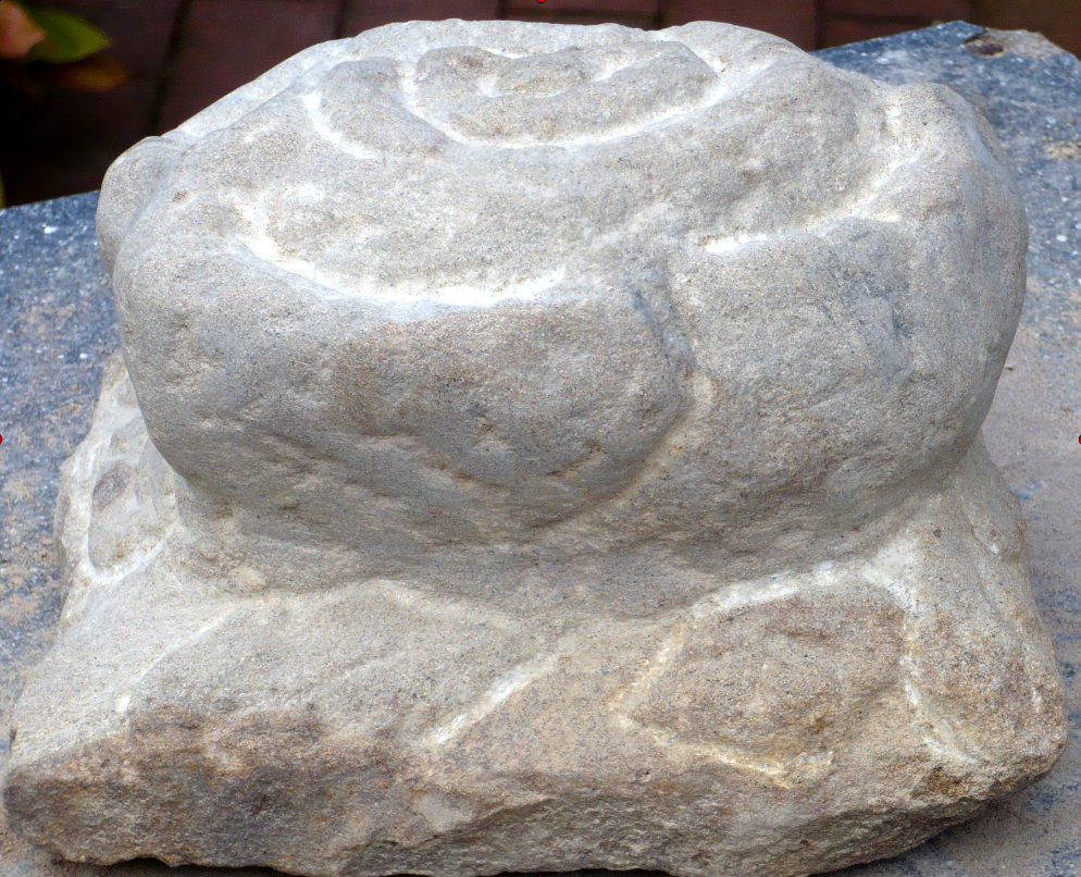 Sandsteinrose