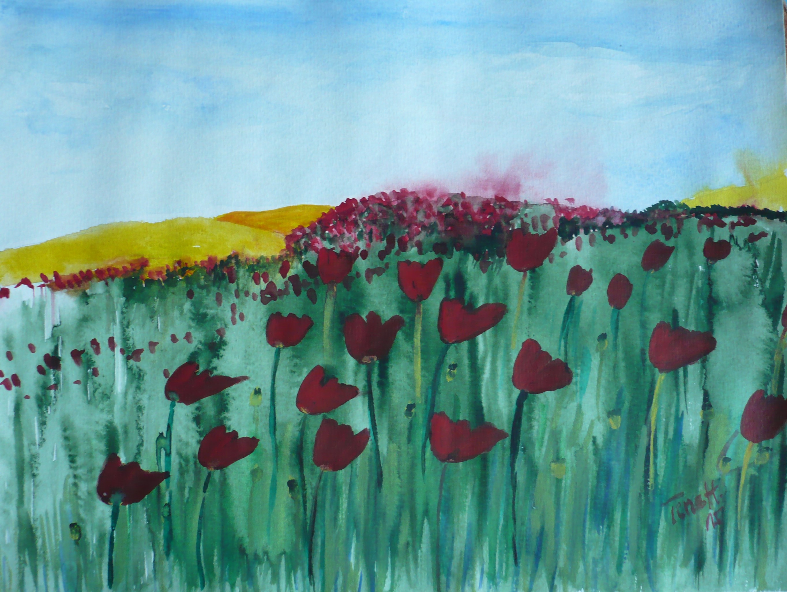 Feld mit Mohnblumen - Aquarell 32 x 24 cm