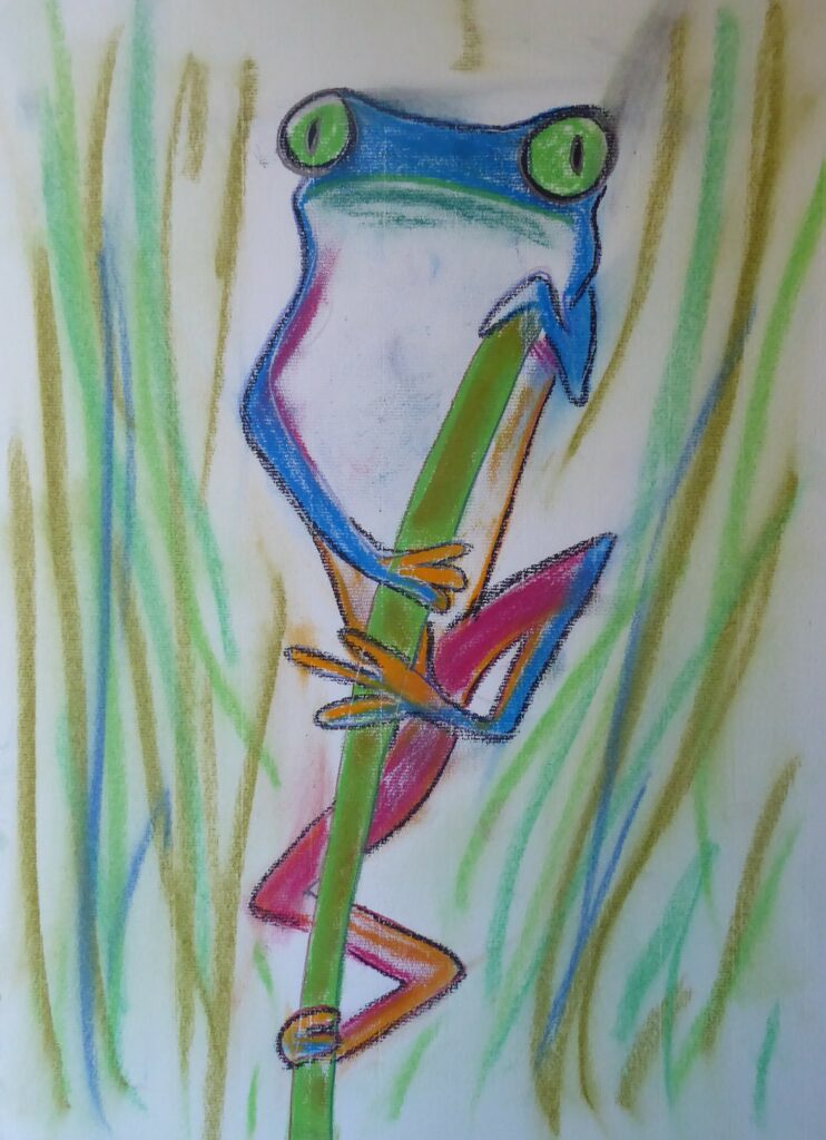 Frosch - Kreide