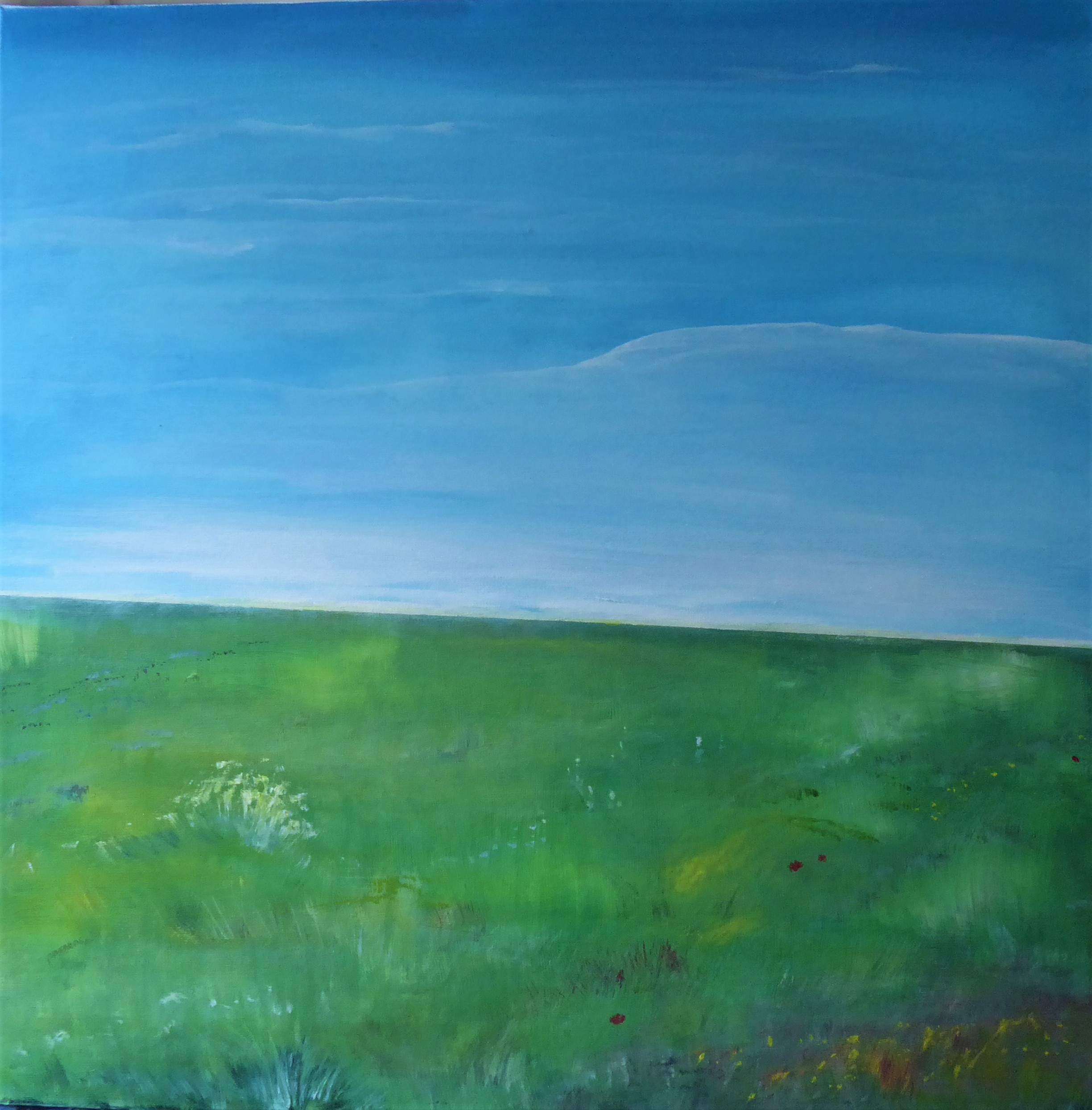 Wiese im Sommer