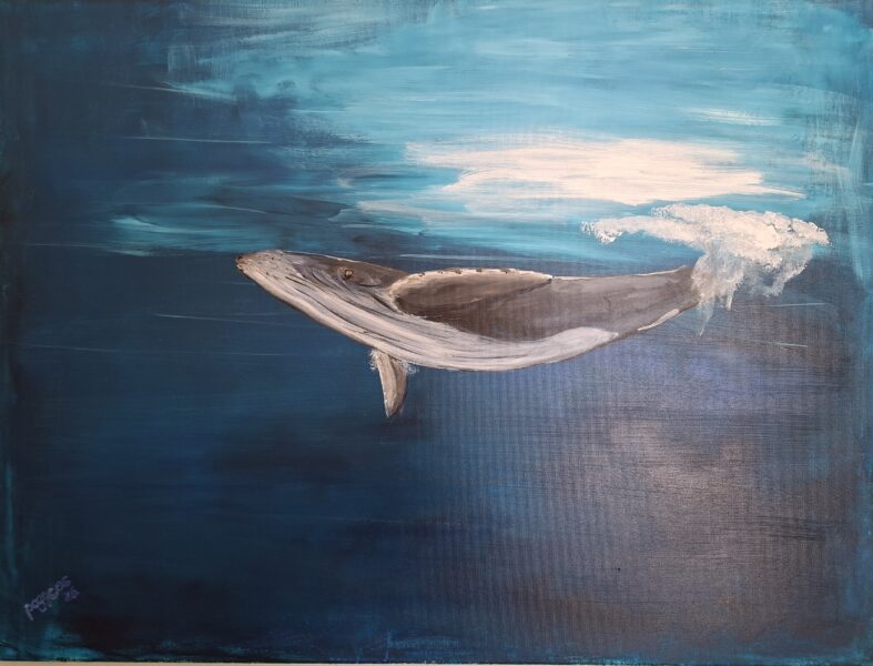 Wal, Acryl auf Leinwand 60 x 80 cm